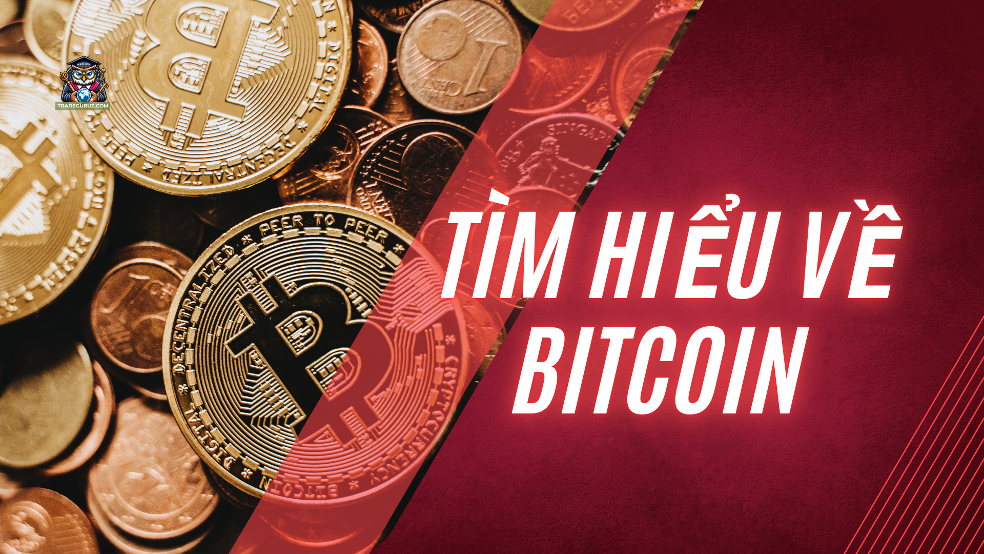 Tổng quan các thông tin cơ bản về Bitcoin